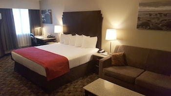 Standard Room, 1 King Bed with Sofa bed, Non Smoking, Kitchenette (with Sofabed)