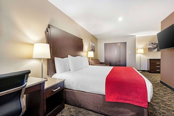Standard Room, 1 King Bed with Sofa bed, Non Smoking, Kitchenette (with Sofabed)