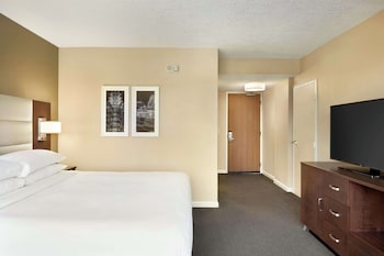 Room, 1 King Bed, Accessible, Non Smoking (Roll-In Shower)
