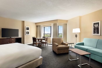 Studio Suite, 1 King Bed