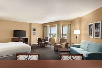 Studio Suite, 1 King Bed