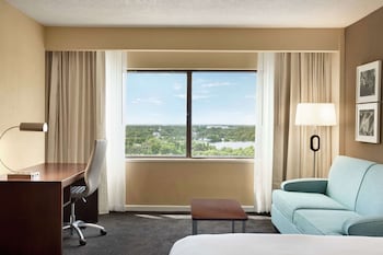Room, 1 King Bed with Sofa bed