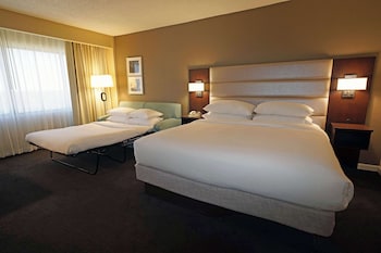 Room, 1 King Bed with Sofa bed