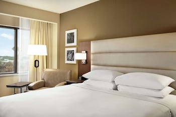 Room, 1 King Bed, Accessible, Bathtub