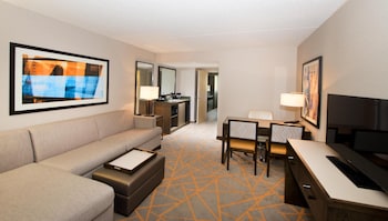 Standard Suite, 1 King Bed