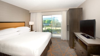 Room, 1 Double Bed, Accessible, Patio (Roll-In Shower)