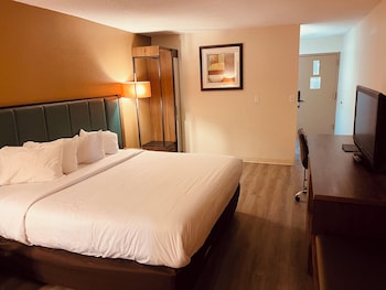 Room, 1 King Bed, Non Smoking
