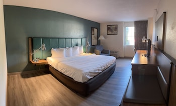Room, 1 King Bed, Non Smoking