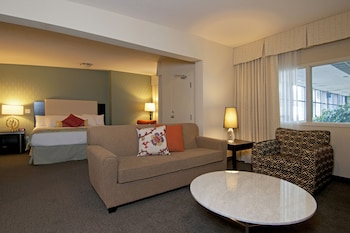 Premium Studio, 1 King Bed, Jetted Tub (Coast Honeymoon Suite)