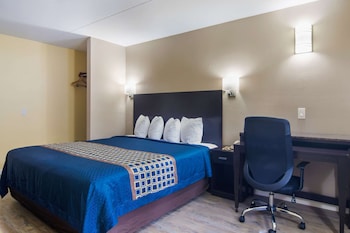 Room, 1 King Bed, Accessible, Smoking