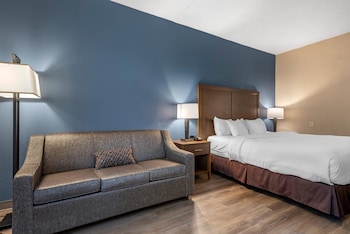 Standard Room, 1 King Bed, Non Smoking