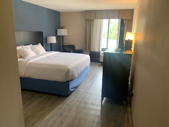 Room, 1 King Bed, Accessible, Non Smoking