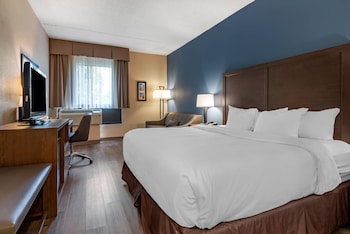 Standard Room, 1 King Bed, Non Smoking