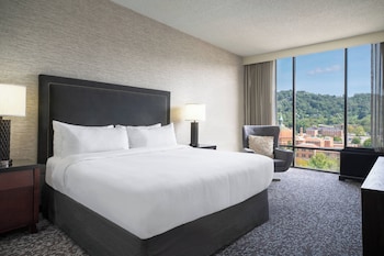 Room, 1 King Bed (Hearing Accessible)