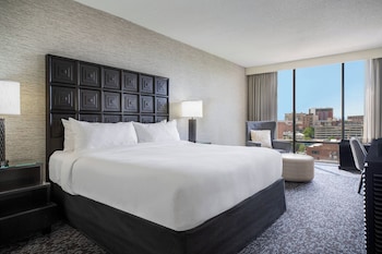 Room, 1 King Bed (Hearing Accessible)