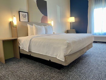 Suite, 1 King Bed
