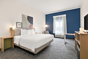 Suite, 1 King Bed