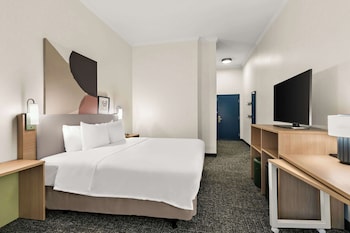 Room, 1 King Bed, Accessible (Mobility & Hearing, Roll-in Shower)