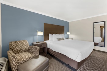 Standard Room, 1 King Bed, Non Smoking, Refrigerator & Microwave