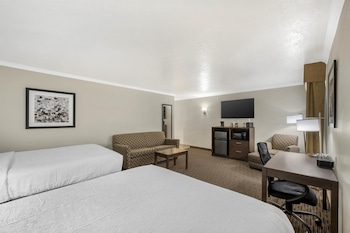 Standard Room, Multiple Beds, Non Smoking, Refrigerator & Microwave (with Sofabed)
