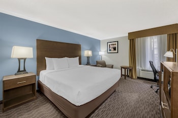 Standard Room, 1 King Bed, Accessible, Non Smoking