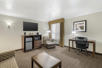 Standard Room, Multiple Beds, Non Smoking, Refrigerator & Microwave (with Sofabed)