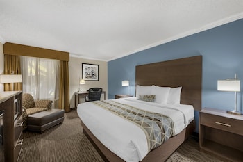 Standard Room, 1 King Bed, Accessible, Bathtub