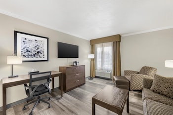 Suite, 1 King Bed with Sofa bed, Non Smoking, Jetted Tub (with Sofabed)