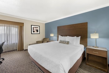 Standard Room, 1 King Bed, Non Smoking, Refrigerator & Microwave