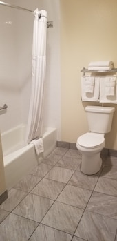 Standard Room, Multiple Beds, Non Smoking, Refrigerator & Microwave (with Sofabed)