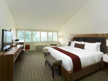 Executive Room 1 King Bed