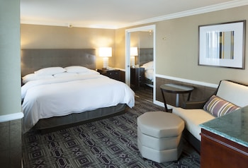 Mini Suite 1 King Bed