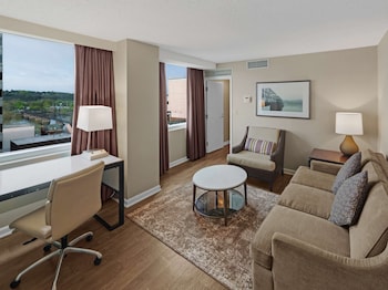 Mini Suite 1 King Bed