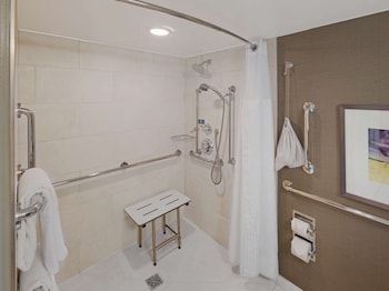 Room, 1 King Bed, Accessible, City View (Mobility, Roll-In Shower)
