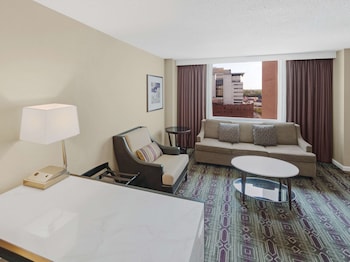 Mini Suite 1 King Bed