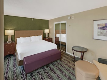 Mini Suite 1 King Bed