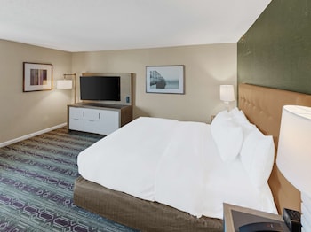 Room, 1 King Bed, City View