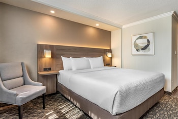 Standard Room, 1 King Bed, Non Smoking