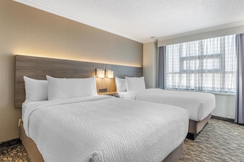 Suite, 2 Double Beds, Non Smoking, Kitchen (with Sofabed, Full Kitchen)