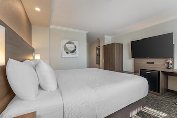 Standard Room, 1 King Bed, Non Smoking