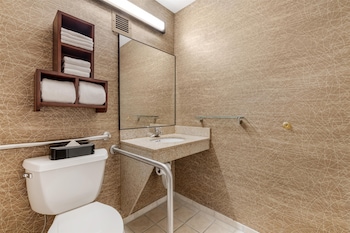 Standard Room, 1 King Bed, Accessible, Bathtub