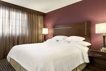Room, 1 King Bed