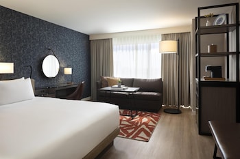 Room, 1 King Bed (Alamo View)