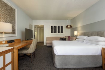 Room, 1 King Bed (Allergy Friendly)