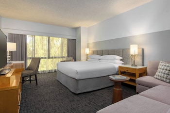 Room, 1 King Bed (Allergy Friendly)