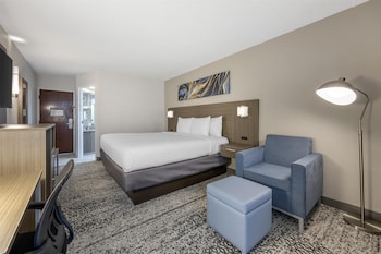 Standard Room, 1 King Bed, Non Smoking, Refrigerator & Microwave