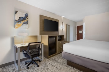 Standard Room, 1 King Bed, Non Smoking, Refrigerator & Microwave