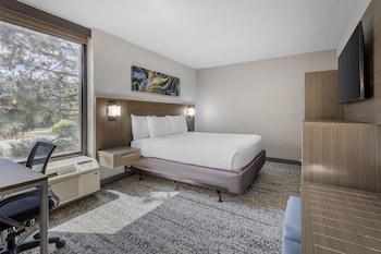 Standard Room, 1 Queen Bed, Non Smoking, Refrigerator