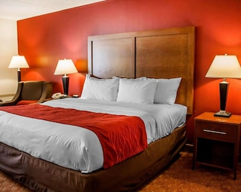 Standard Room, 1 King Bed, Non Smoking