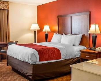 Standard Room, 1 Queen Bed, Non Smoking, Jetted Tub